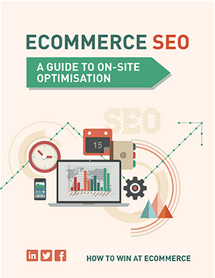 ecommerce seo guide